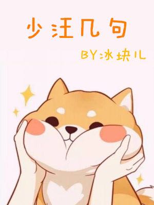 少汪几句小说下载